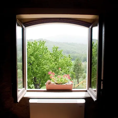 La Rosa Nel Bicchiere Soveria Mannelli