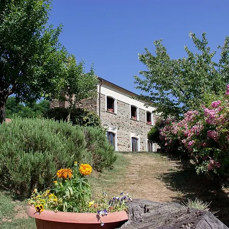 La Rosa Nel Bicchiere *