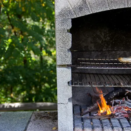 La Rosa Nel Bicchiere *