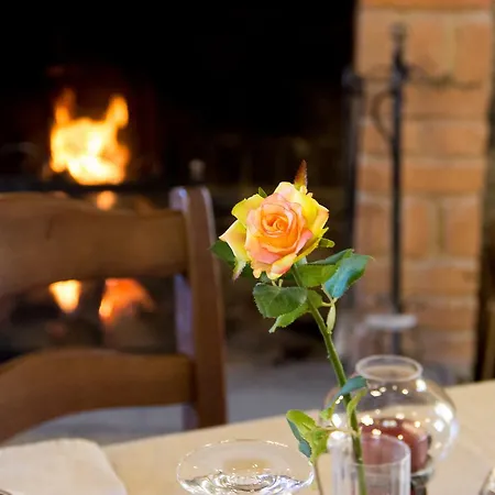 La Rosa Nel Bicchiere *