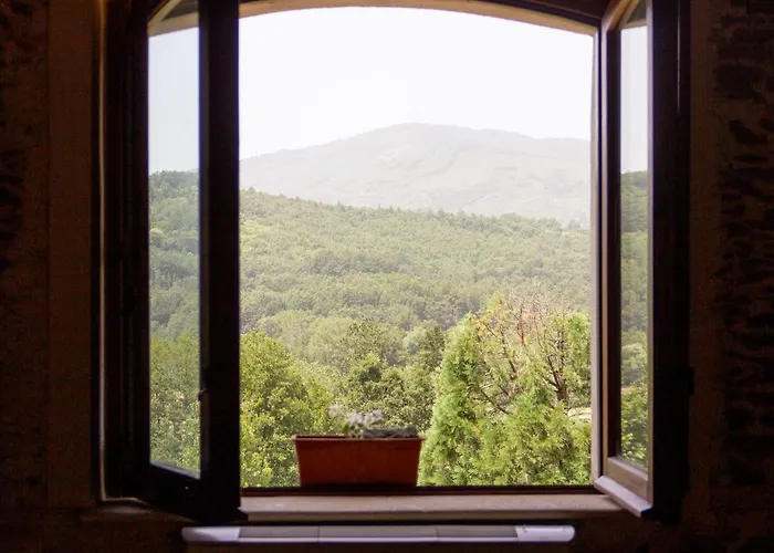 玻璃杯中的玫瑰乡村民宿 乡村民宿 Soveria Mannelli