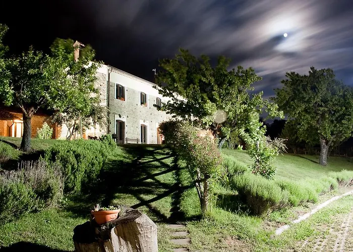 玻璃杯中的玫瑰乡村民宿