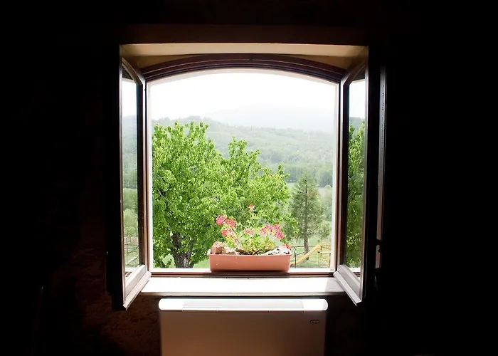 玻璃杯中的玫瑰乡村民宿 Soveria Mannelli