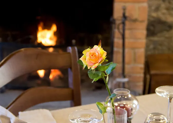 La Rosa Nel Bicchiere *